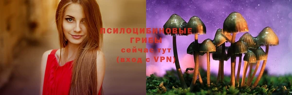 мет Белокуриха