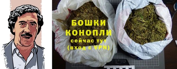 экстази Богданович